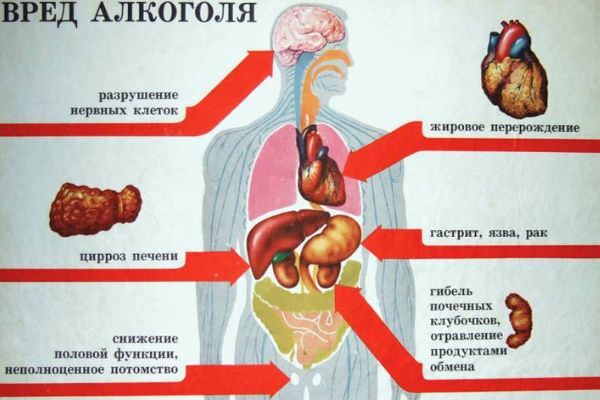 Вред шампанского для организма