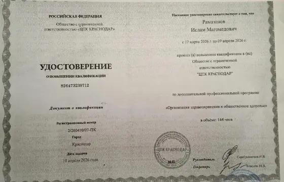 Удостоверение Рамазанова Ислама Магомедовича по организации здравоохранения и общественному здоровью, 2026 год
